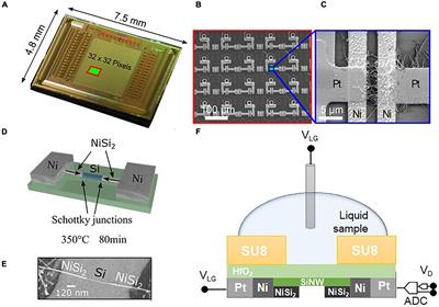 Multisite Dopamine Sensing With Femtomolar Resolution Using a CMOS Enabled Aptasensor Chip